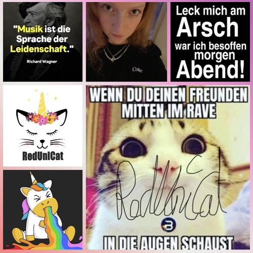 Der Hamster Steckt Auch In Dir 🚨🎶🤫