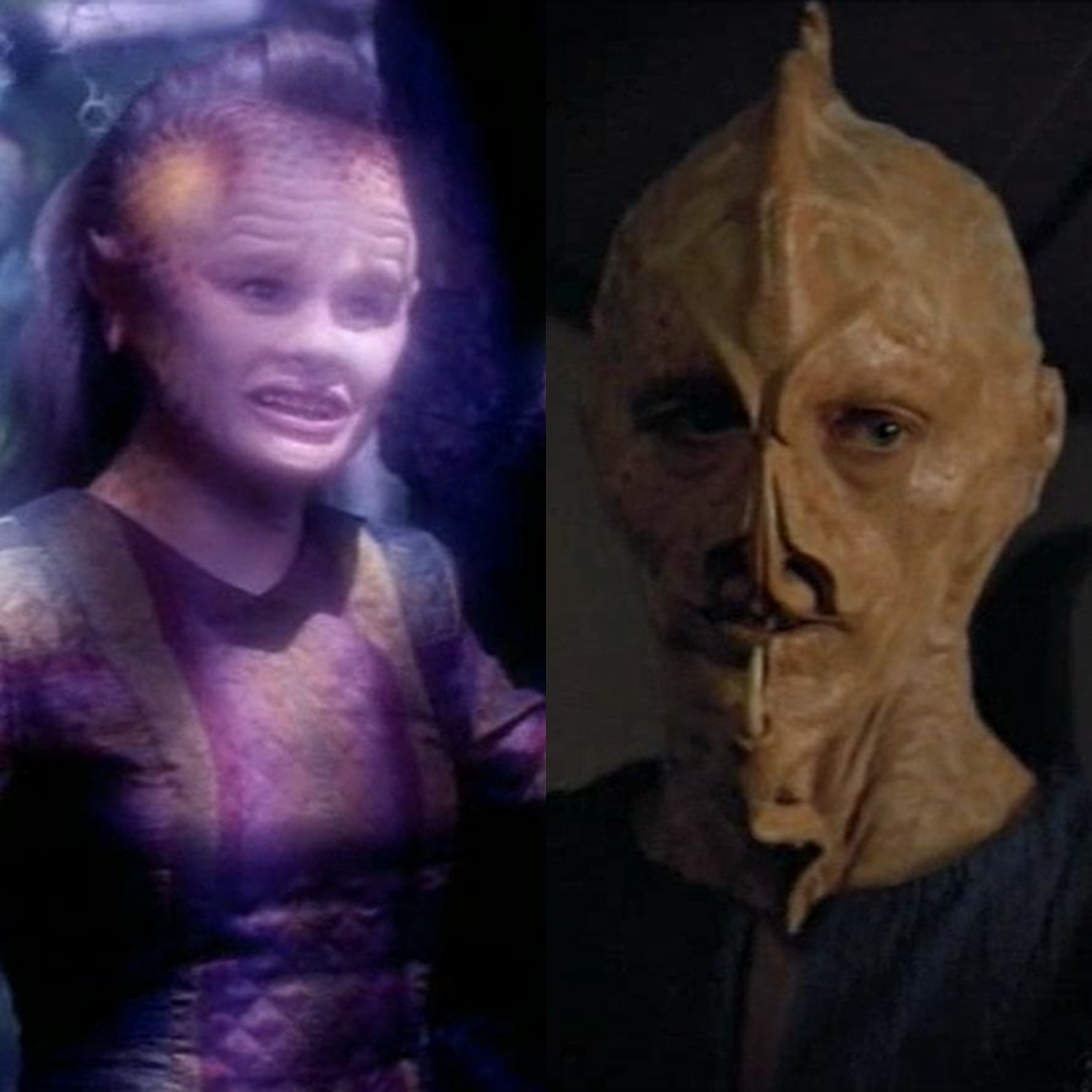 A Star to Steer Her By