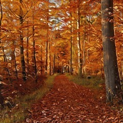 Herbstspaziergang