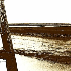 "Il mare immobile" - version for two bass recorders, bass clarinet and marimba (2001/05)