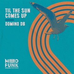 Domino DB - TIL THE SUN COMES UP // MFR300