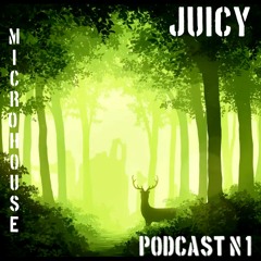 Podcast n°1 Birds in the Forest Micro House set