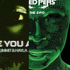 Where You Are Vs I Gotta Feeling (Jamieson Edit) - John Summit Vs The Black Eyed Peas