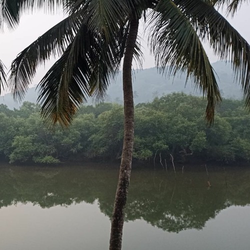 Siolim paradise