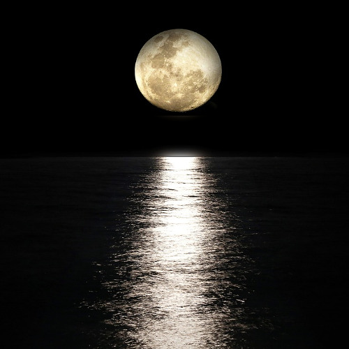 Looking for the moon