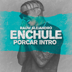 Rauw Alejandro - Enchule (Intro Porcar)