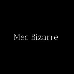 Mec Bizarre (Feat Paul)