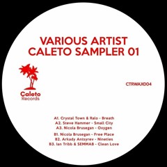 PREMIERE: Ian Tribb & SEMMAB - Clean Love