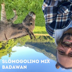 SLOMOGOLINO MIX