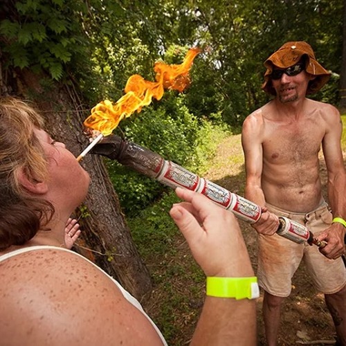 wtfpreston - Beauty And A Meth Rock