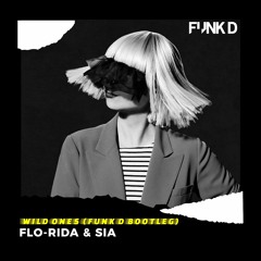 Flo-Rida & SIA - Wild Ones (Funk D's 2021 Bootleg)