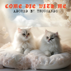 Darlings, You Are Adored By Thousands