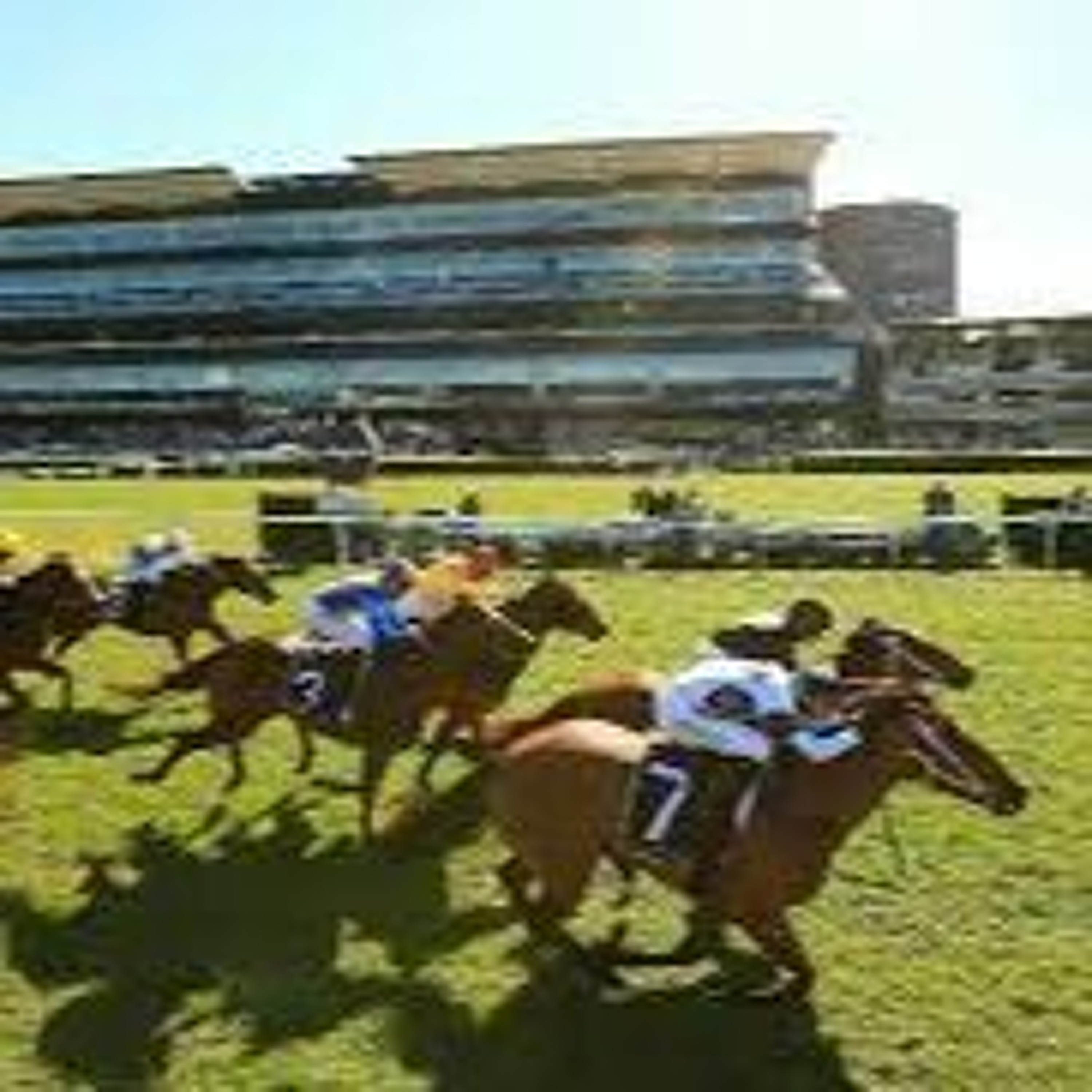 Kensington Jan 2 2021 Punting Preview