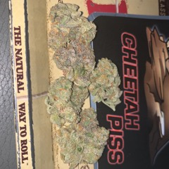 Famous Vet X Aint It Different (FreeMx) HeadieOne