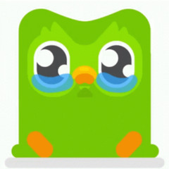 dudolingo