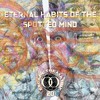 Take #20 - Eternal Habits Of The Spotted Mind DJ mix artwork - Electronic music tracklist cover image