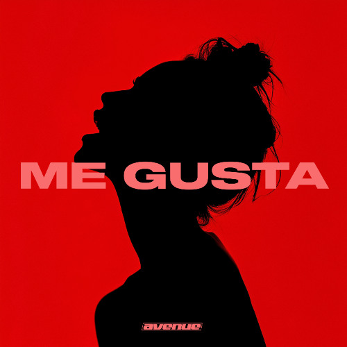 Mario Ochoa - Me Gusta (feat. Manuela Estrada)