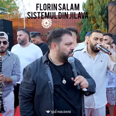 SISTEMUL DIN JILAVA - Florin Salam