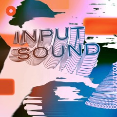 Input Sound Vol 2
