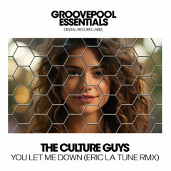 The Culture Guys - You Let Me Down