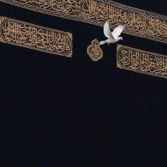 قصار السور للشيخ الدكتور عبدالله عزب رحمه الله