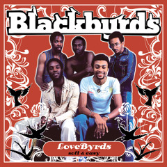 USオリジナル　BLACKBYRDS / BLACKBYRDS muro The Blackbyrds - Album by The Blackbyrds | Spotify
