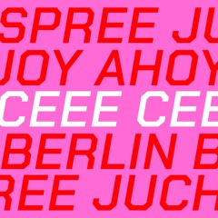 JOY AHOY - P's Bday Bash Boat Berlin