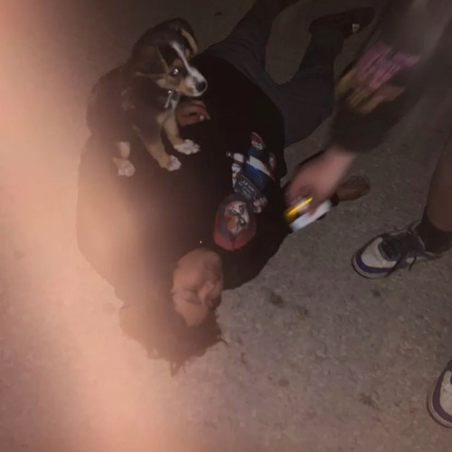 Cumberland trap (featuring chase on the beat, and tahlan)
