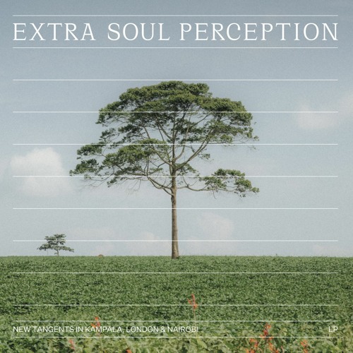 D3) Faizal Mostrixx   Karun - In My Soul (Ethiopian Records Remix)