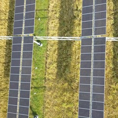 Episode 11: Farming + Solar = Agrivoltaics