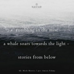 Rumbling in the mist [naviarhaiku326]