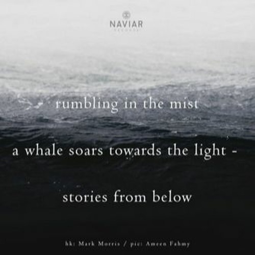 Rumbling in the mist [naviarhaiku326]