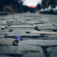 Die Blaue Blume