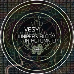 Vesy - Junipers Bloom In Autumn (Original Mix) Preview