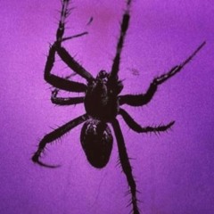 DELOREAN - Yeat x Trippie Redd x Playboi Carti | Hyperpop Type Beat