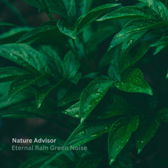 Eternal Rain Green Noise