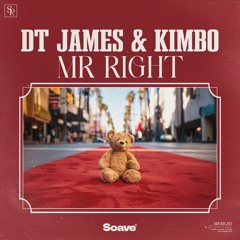DT James & Kimbo - Mr Right