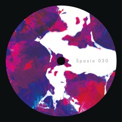 (What you want) is Music EP _ Spazio Disponibile 030