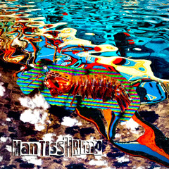 Mantis Shrimp - Plastic Plant