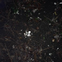 All We Have Is: Time