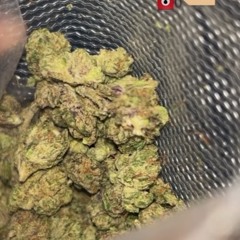 StikkInaTank perc40