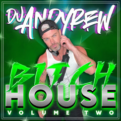 DjAndyrew - BITCH HOUSE VOL 2