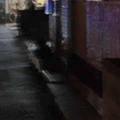 お金じゃ買えない