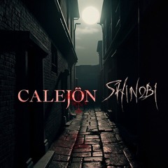 Shinobi Alley