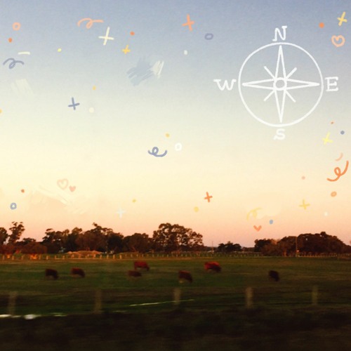 compass w/ Neanderthal