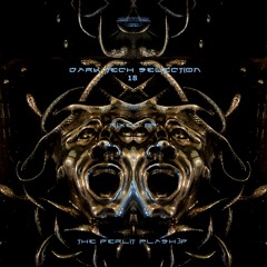 Dark Tech Selections 18 [Vinyl Only Mix]