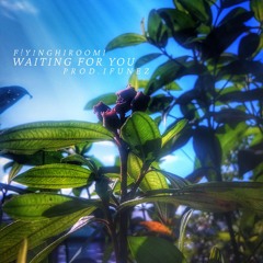 Waiting For You / W IFunezsu