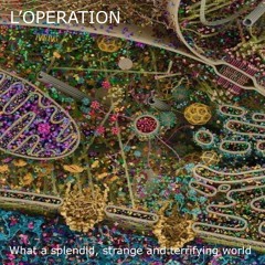 What A Splendid, Strange And Terrifying World