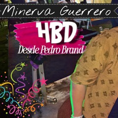 HBD MINERVA GUERRERO DESDE PEDRO BRAND LIVE DJ JOE CATADOR  SALSA, BACHATA, DEMBOW