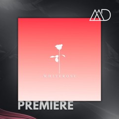 PREMIERE: MATARA - Freedom (Original Mix) [White Rose Recordings]